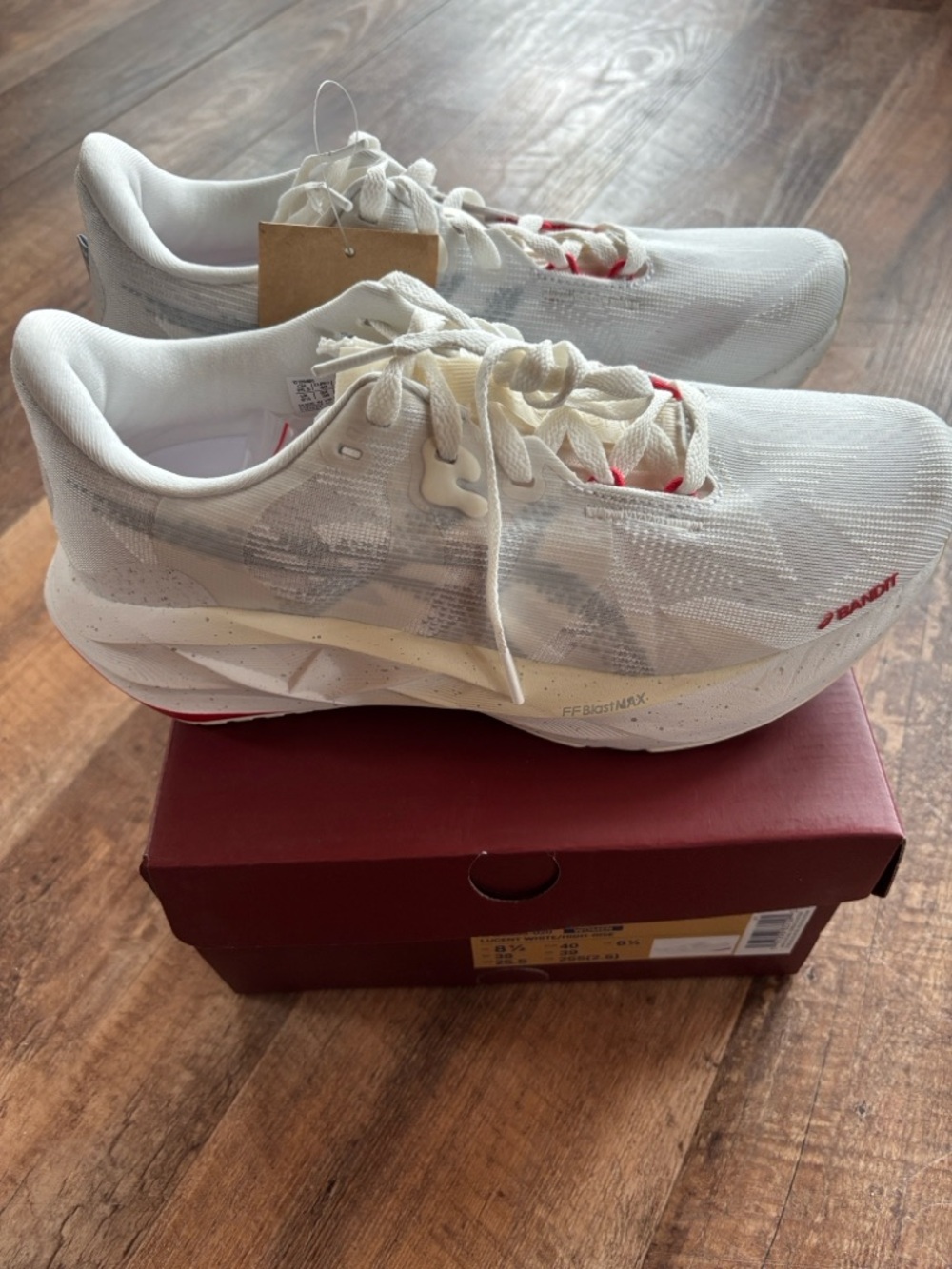 Asics x Bandit NovaBlast 5 women’s